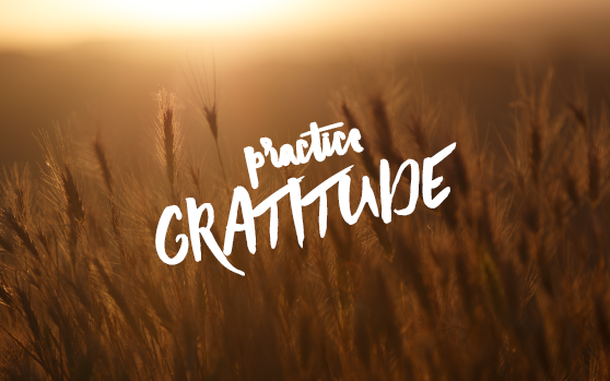 November's Desktop Wallpaper + How Gratitude Helps to 